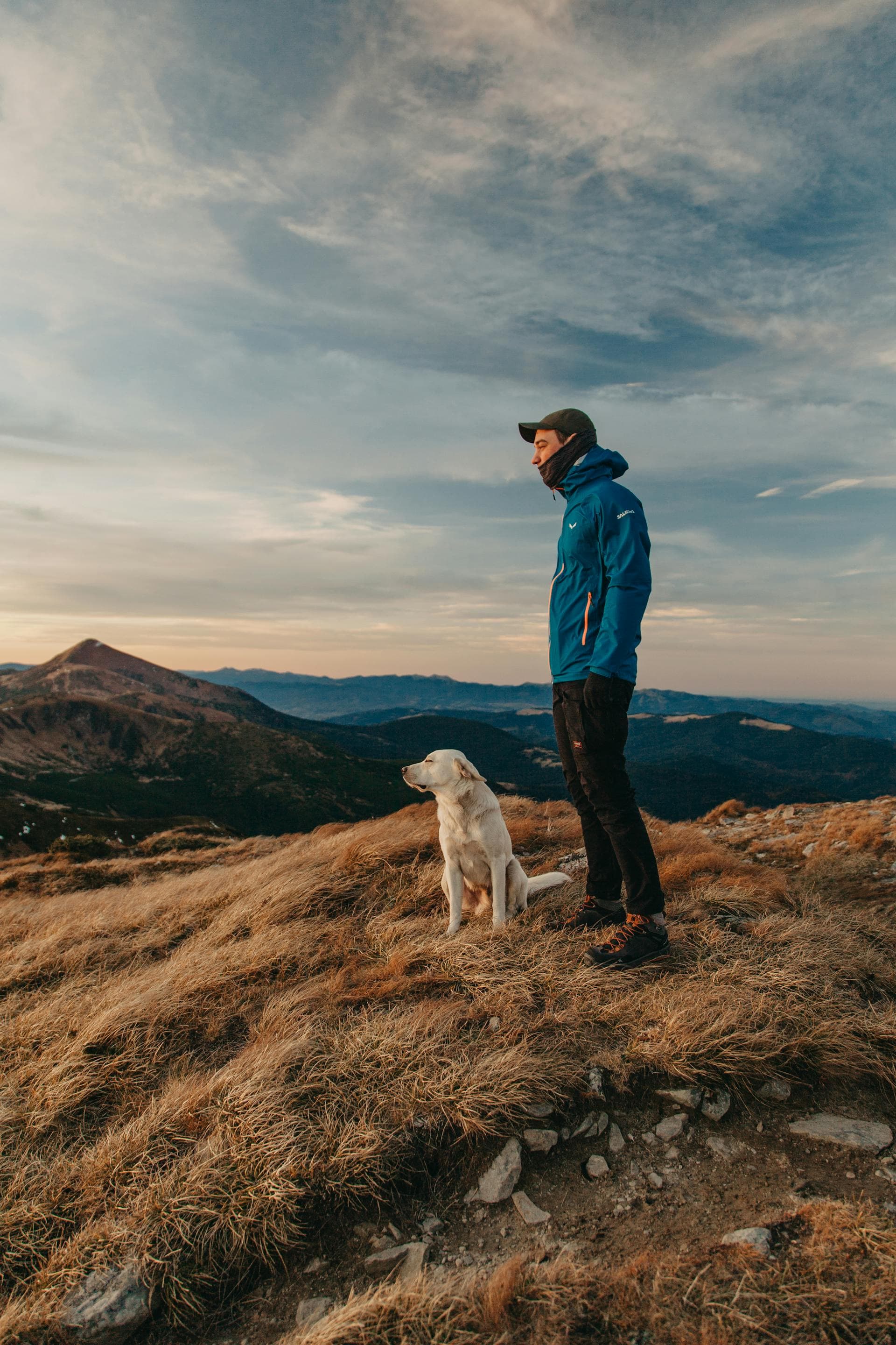 Paws & Paths: A Beginner's Guide to Hiking with Dogs - Adventure scene