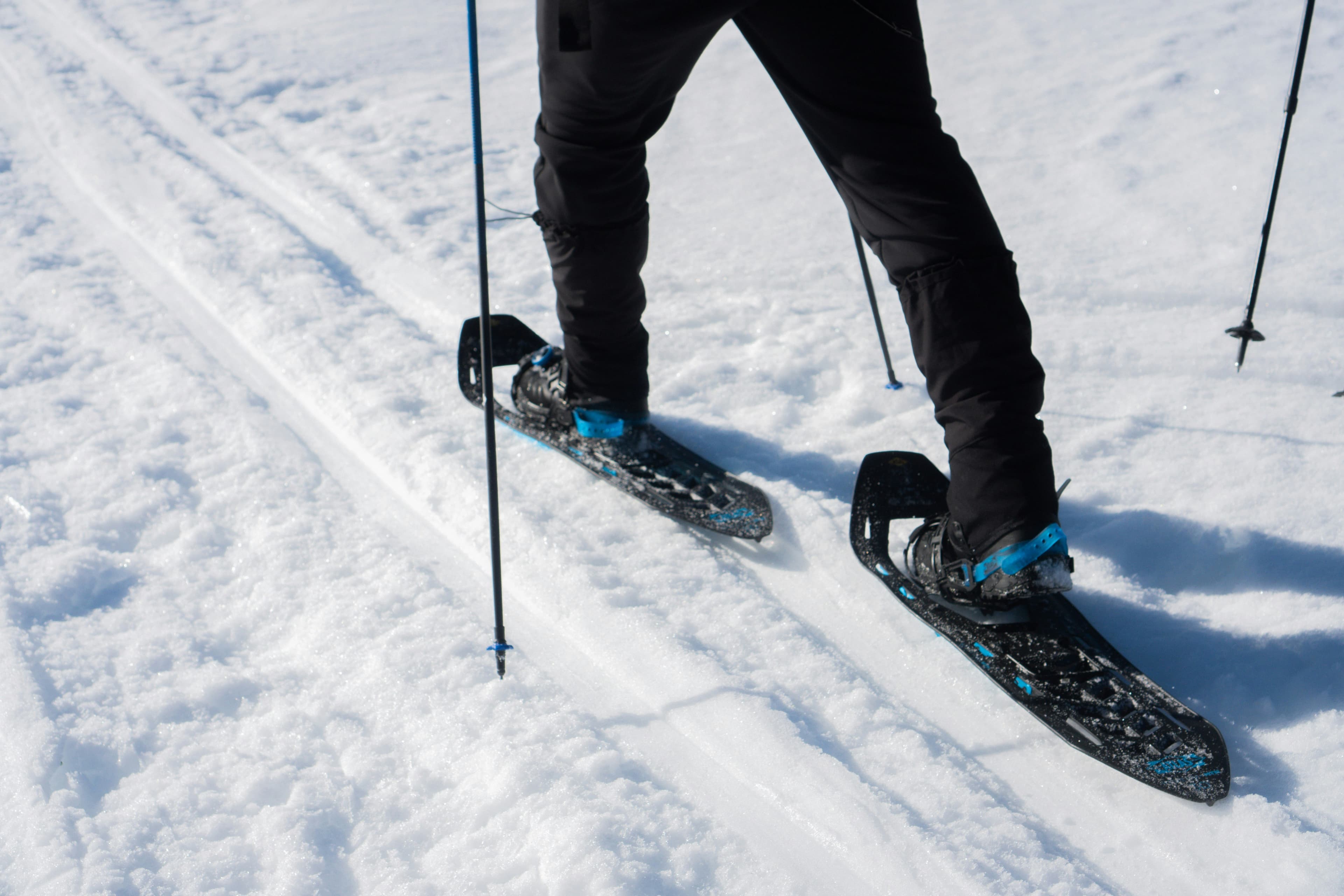 Snowshoeing 101: Step Into Winter Adventure - Adventure scene